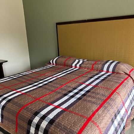 Comfort Stay Inn كوينسي المظهر الخارجي الصورة